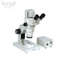 GL6445B Stereo Microscopes 